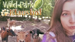 Day off in Wildpark Klaushof 🇩🇪 Germany