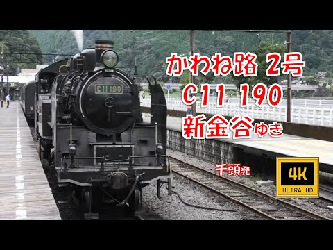 🚂大井川鐡道 SLかわね路2号 C11 190 新金谷ゆき(車窓/右側