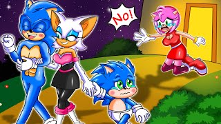 Poor BB Sonic Vs Bad Rouger Stepmother - Sonic Come Back Home With Amy Mommy | Sonic The Hedgehog 2