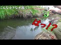 【新記録】デカ過ぎるデカ過ぎるデカ過ぎるデカ過ぎる!!こんな水路で釣れるサイズじゃない