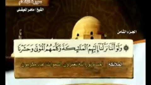 الجزء (8) من القرآن الكريم بصوت الشيخ ماهر المعيقلي