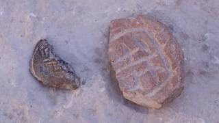 A seal impression discovered in Jerusalem bears witness to the city's restoration during Shivat Zion