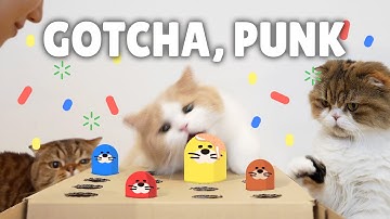 Funny Cat Whack-a-Mole Challenge