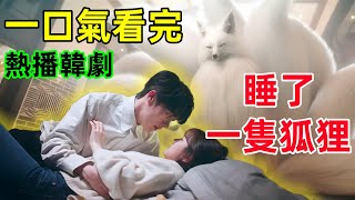 一口看完【我的室友是九尾狐】熱播韓劇1~16全集完整版，心驚膽戰的同居