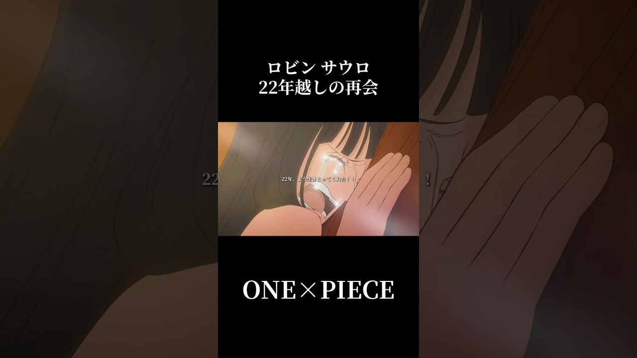 ロビン サウロ 22年越しの再会 #ワンピース #onepiece #サウロ #ロビン #ルフィ