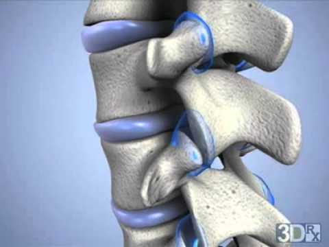 Learn about Cervical Facet Joints - YouTube