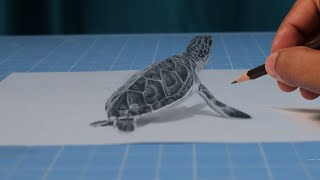 How to Draw 3D Drawing of a Turtle || Realistic 3D Art illusion Video part-3