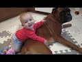 8 months old baby girl cuddling with her boxer dog