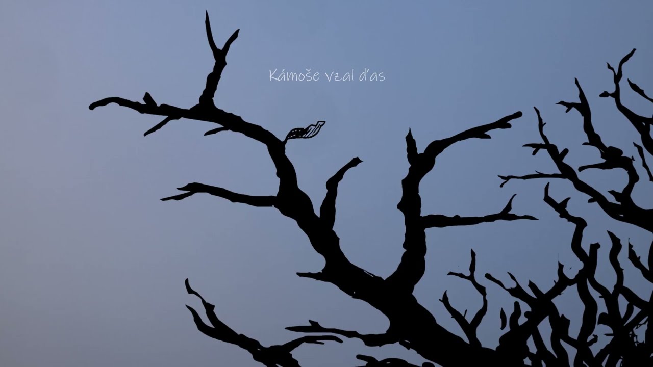 Mimo děj - Poslední list (Tom Waits cover) PF2026