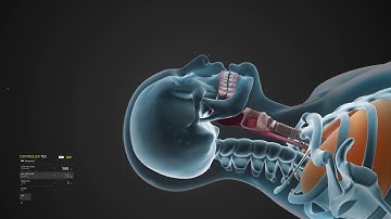 UE Video Stylet Demo