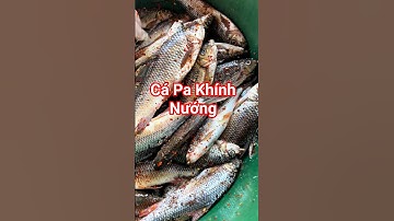 NƯỚNG CÁ SUỐI PA KHÍNH - ĐẶC SẢN TÂY BẮC | VÙNG CAO FOOD #capakhinh #casuoi