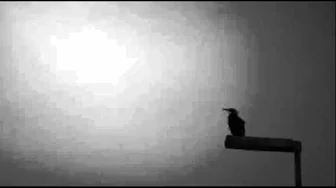 Little Nemo - Alan's Waiting Little Nemo - Alan's Waiting