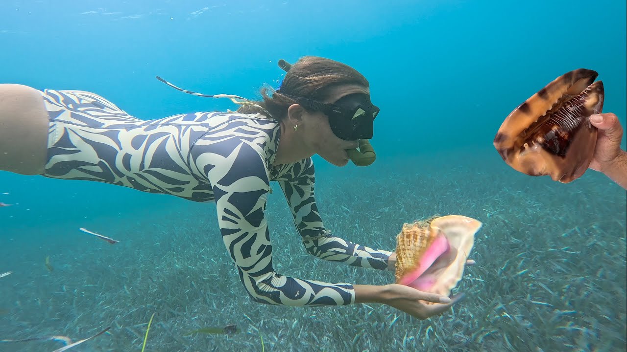 We Found RARE Conch while diving in the Bahamas!! - YouTube