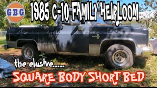 1985 C10 short bed, rescued from under a mango tree. Will it run and drive?