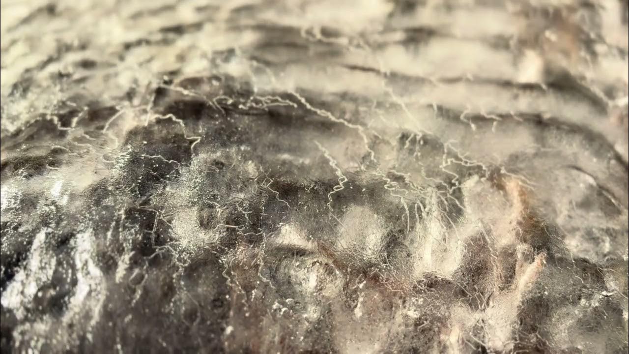 What melting ice looks like in real time!🧊 ️ (Running water under ice ...