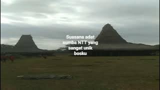 NTT punya cerita