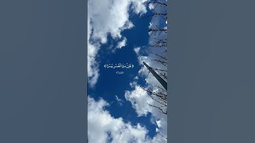 سورة الشرح ان مع العسر يسرا #قران_كريم #funny f #fyp
