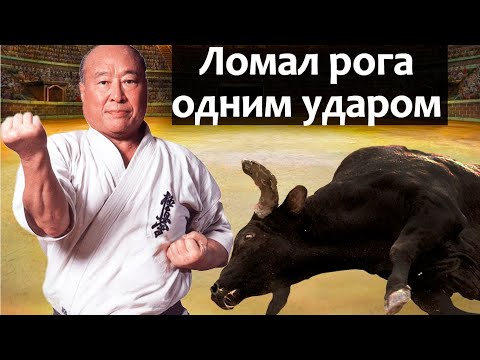 Video: Oyama magnooliapuu: kuidas hoolitseda Korea magnooliate eest