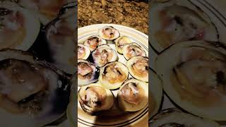 raw clams are delicious 😋 #clams #raw #newengland #vlog #foodie
