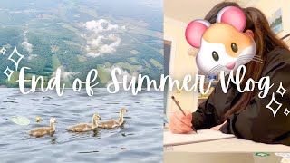 Daily Life Vlog ☀️? summer break, meeting up with friends, dancing, cute brunches, and more ?