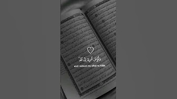 صباحكم منشاوى 🤍🌿 #تلاوة_خاشعة #اكسبلور #قران_كريم #دويتو #ترند #المصحف #القرآن_الكريم