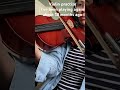 Violin practise #playviolinwithoutnotes #music