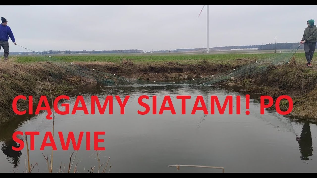 CIĄGAMY SIECIAMI , SPUSZCZAM WODĘ W NOWYM STAWIE, WAPNUJĘ NOWY STAW - ODŁOWY SIECIOWE
