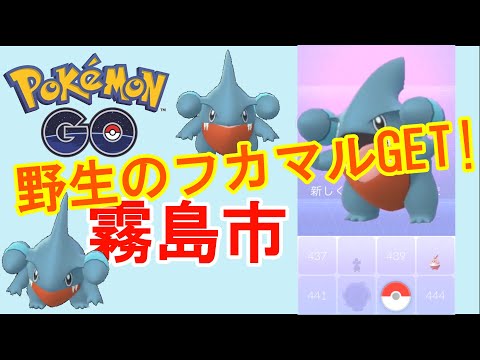【ポケモンGO】野生のフカマルGET!