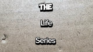 The life series episode 6