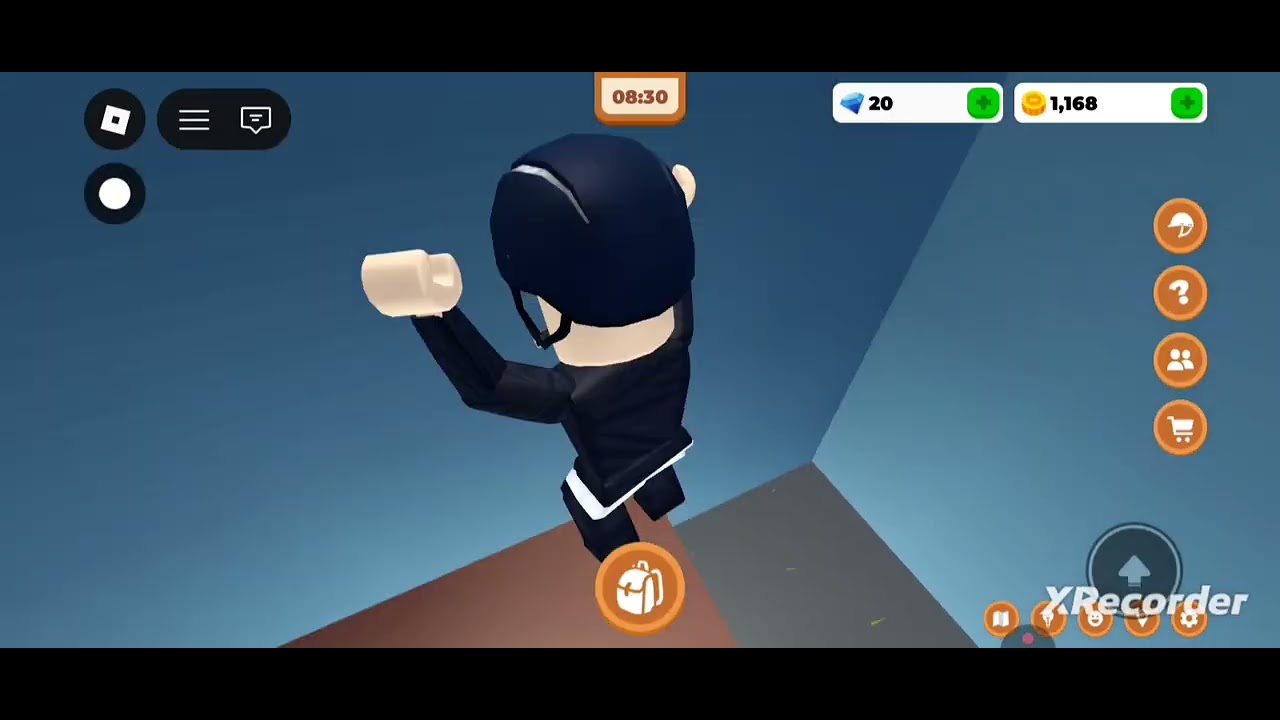 How to get a great Dane raccoon and alpaca