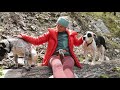 RIGGINS - An Obscure Crag In Northern Idaho || Cold House Media Vlog 110