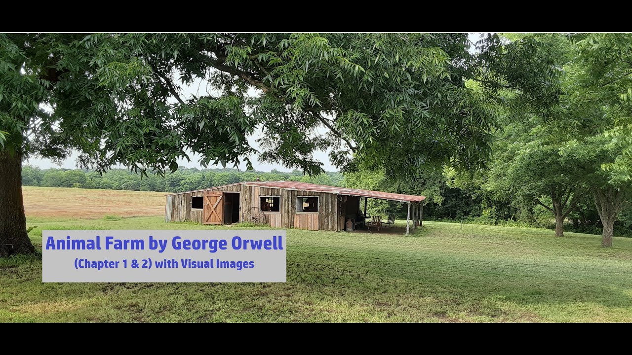 Read Aloud of Animal Farm by George Orwell (Chapter 1 & 2) with Visual ...