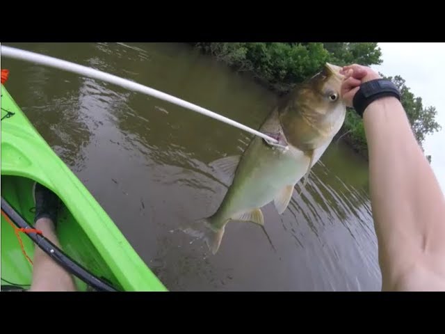 Kayak Bow fishing on the Meramec River 