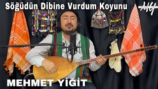 Söğüdün Dibine Vurdum Koyunu - Mehmet Yiğit ( Canlı Performans ) Resimi