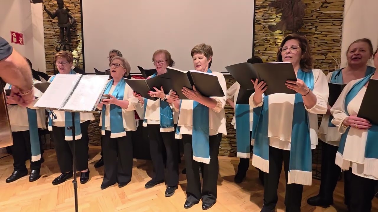 29 de noviembre de 2025