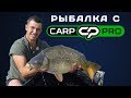 Поймал крупного десяти килограммового карпа! Ночная рыбалка с Carp Pro на водоеме "Орлеан"!