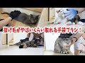 猫4匹にペット手袋ブラシを使ったら恐ろしいほど抜け毛が取れました…！