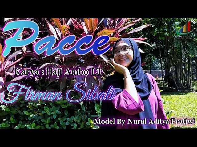 Pacce - Karya: Haji Ambo LT | Firman Sibali (Official Music Video) class=