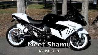 yamamu Custom Kawasaki ZX 14 