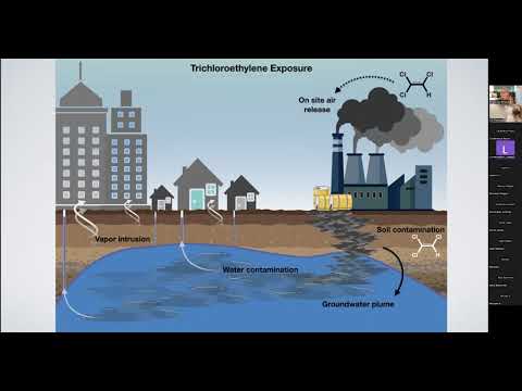 Dr. Briana De Miranda: "The Role of Environmental Exposures in Aging and Neurodegeneration"