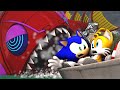 Sonic in camping chaos