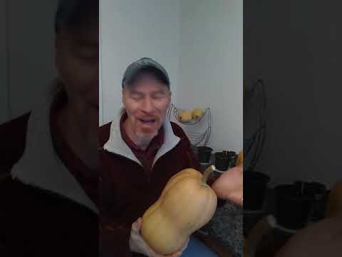 Video: Cos'è la zucca Crookneck – Coltivare la zucca Crookneck in giardino