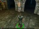 Dungeon Siege Simple Combat