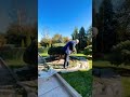 Ялина Глаука штамб. #relaxingmusic #music #garden #niwaki #diy