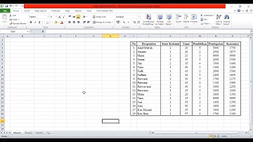 Cara menginput data dari Microsoft Excel ke app IBM SPSS
