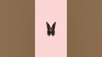 Butterfly Animation #shorts #procreate #digitalart