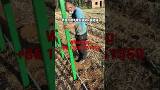 Greenhouse Agricultural Framework, Greenhouse Pipe, Greenhouse Metal Pipe