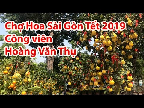 Chợ Hoa Tết Sài Gòn 2019 Vàng Rực Công Viên Hoàng Văn Thụ Tân Bình | Mua đặc sản 3 miền