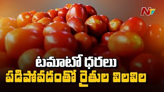 Chittoor Tomato Farmers Facing Trouble Due To Low Price In Market | Ntv