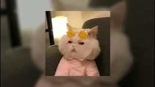 these words ~ speed up